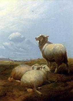 托馬斯 辛德尼 庫珀 Sheep At Pasture